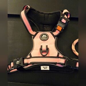 Dog Harness for Medium Dogs with Leash